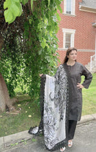 Load image into Gallery viewer, Aks Dupatta