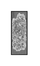 Load image into Gallery viewer, Siah Safaid Kahaniyaan | Black and White Stories | Rectangular Scarf