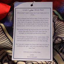 Load image into Gallery viewer, Unabi | عنابی | Brick Red | Rectangular Scarf | Bundle Offer | 3 for $99
