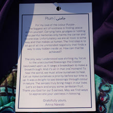 Load image into Gallery viewer, Plum | جامنی | Bundle Offer | 3 for $99 | Rectangular Scarf
